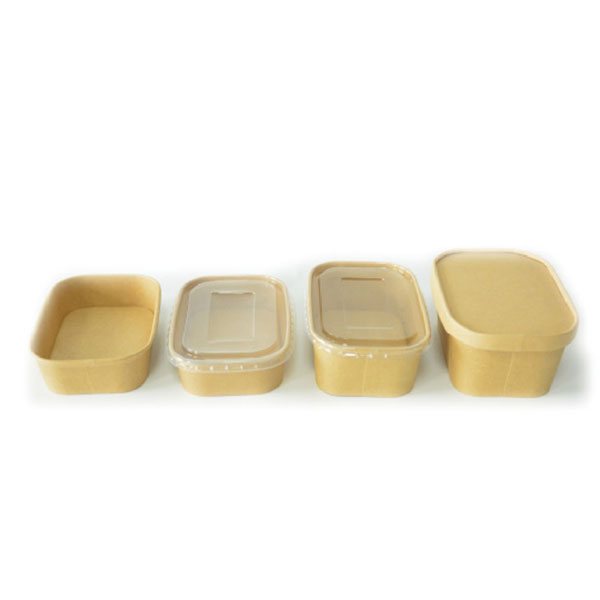 RECTANGLE SALAD BOWL-Greeneverpack-8001